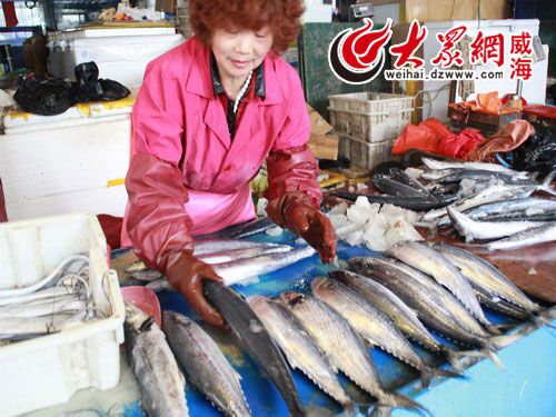 市場上的船凍大鲅魚