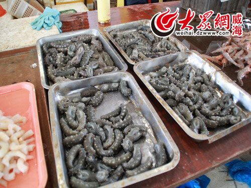 鮮海參