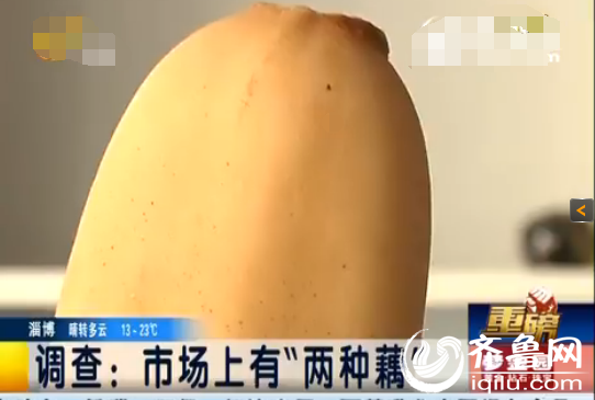 蓮藕從賣相上看主要分兩種，一種帶有黑斑，顏色也發黃發黑。而另外一種蓮藕，表皮白皙，甚至看不到任何斑點，白凈蓮藕表面或多或少都帶著一些液體
