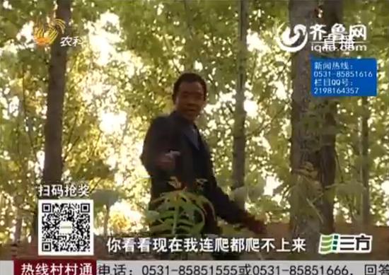 視頻截圖