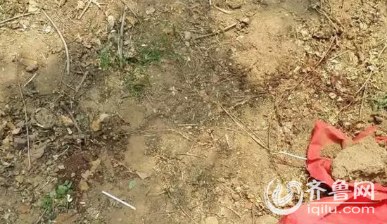 者来到了案发的小树林,小树林位于两个村庄的中间,位置偏僻,周围杂草丛生,几条羊肠小道通往村外,树林里一块显眼的红布被石头压在地上。(视频截图)