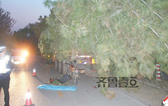 3月31日，黄河大坝摩托车撞上大货车，引发夺命车祸。