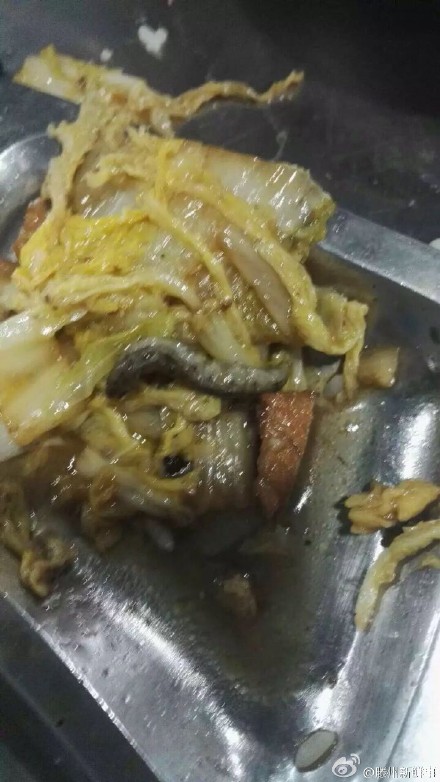 網友供圖