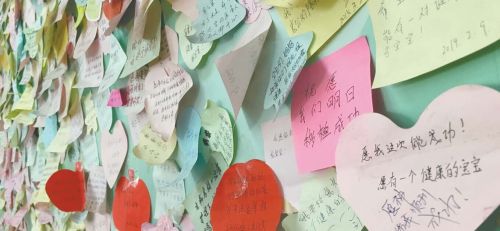 在山大附屬生殖醫院的宣教室里， 寫滿了很多備孕媽媽的心愿。 齊魯晚報記者 范佳 攝