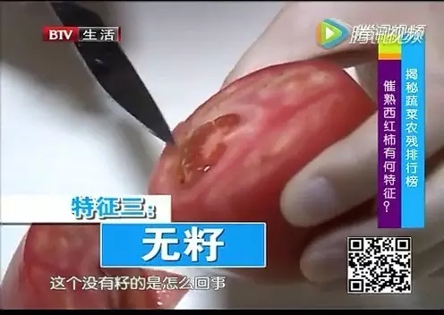 催熟西红柿特征三:无籽