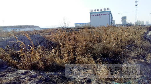 記者回訪當年案發現場時正是冬天,當時地里種的還是玉米。