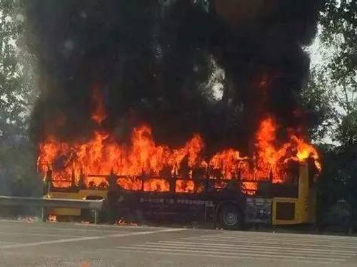 龍口公交車縱火案發(fā)現(xiàn)場(資料圖)