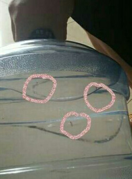 水桶內的蒼蠅和其他異物。