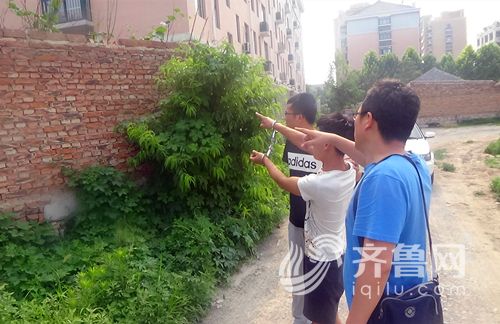 嫌疑人张某某指认作案现场