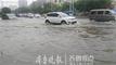 菏泽大雨后 齐鲁晚报·齐鲁壹点 记者 邓兴宇 摄