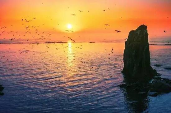 海驴岛