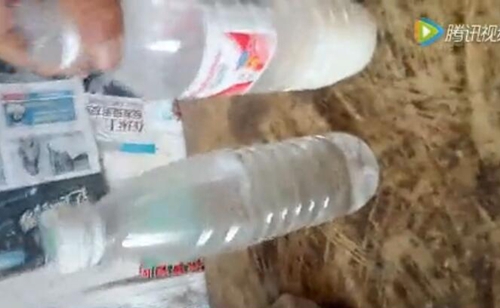 用礦泉水瓶盛的米湯(圖片來源網絡)