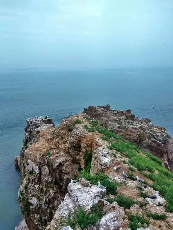 摄影|杨东