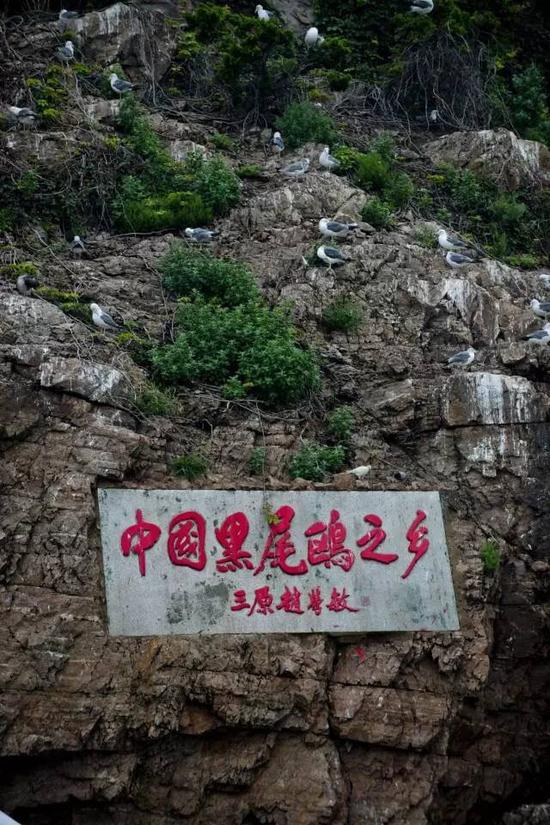 摄影|宁志浩