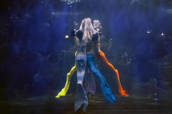 海洋极地世界美人鱼表演