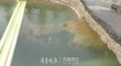 QQ截图20160923213900