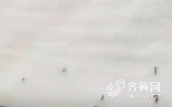 段先生被床上的小螞蟻嚇了一跳(視頻截圖)