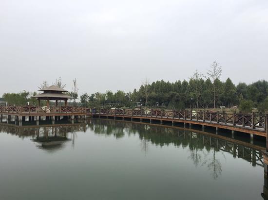 濟寧太白湖新區一角