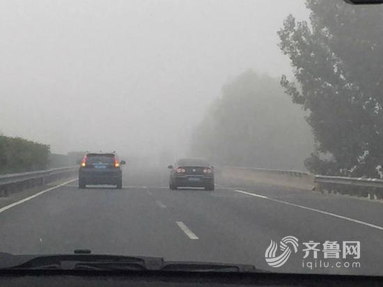 京台高速泰安段浓雾严重（齐鲁网记者 靖晓鸿摄）