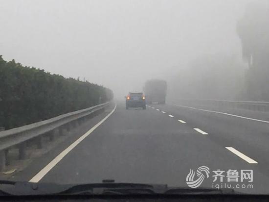 京台高速泰安段浓雾严重（齐鲁网记者 靖晓鸿摄）