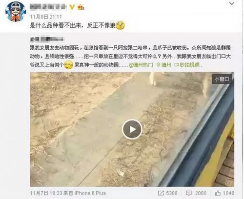 微博截圖