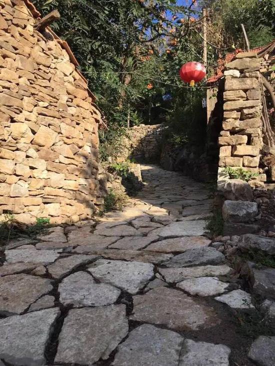 乡间石路 摄影 李守亭