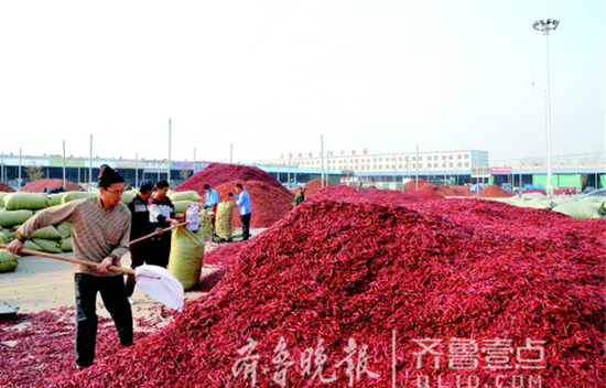 金乡山禄大蒜市场内满是“辣椒山”。齐鲁晚报·齐鲁壹点 记者 姬生辉 摄