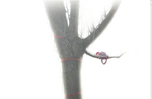事发现场，东东家人的帽子还挂在树上。见习记者赵世杰 李尚隆 摄