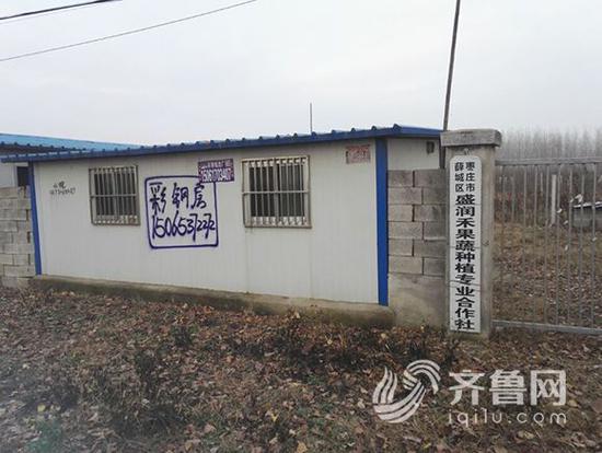 棗莊薛城區的一個曾經的葡萄種植園,如今空無一人,長滿荒草。