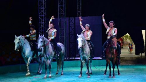 皇家馬戲團表演(網絡配圖)
