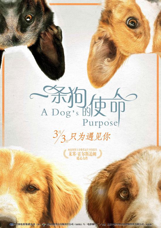 一条狗的使命定档海报