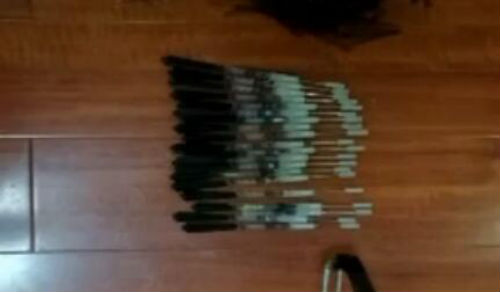　　在德州寧津大曹村一處空閑院落內，三名涉嫌跨省盜狗的犯罪嫌疑人被抓獲。據犯罪嫌疑人交代，弩和毒針是他們主要的作案工具。