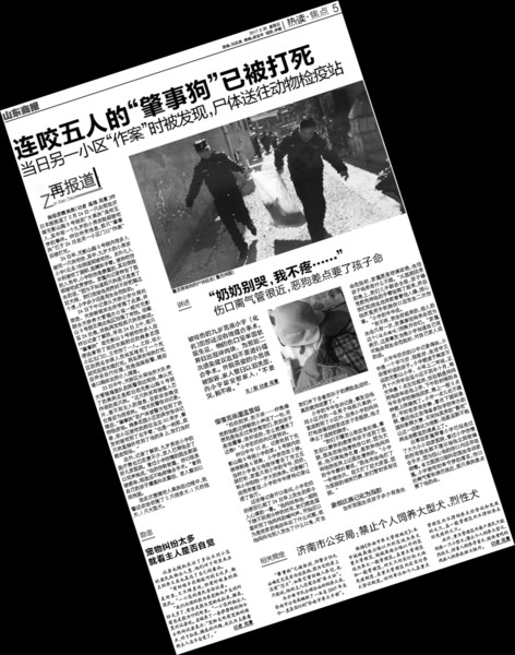 本報關于“惡狗傷人”事件的報道版樣