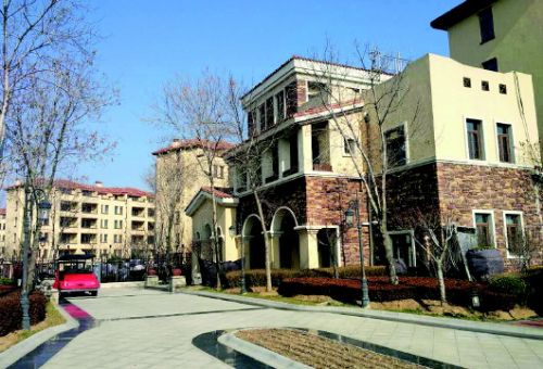 青建香根四季。