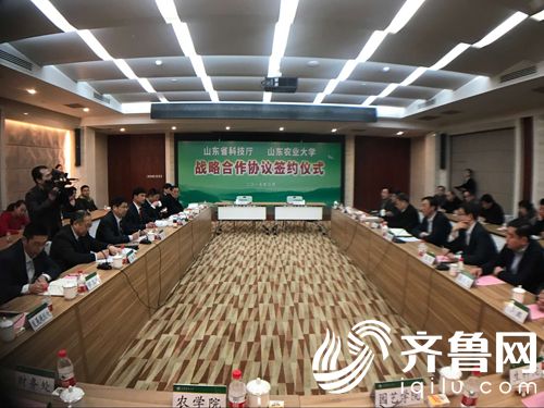 签约仪式现场