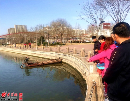 病鱼的大批出现,引得前来游玩的市民纷纷驻足围观指点