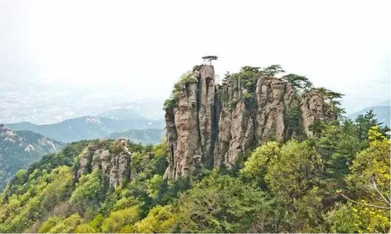 临沂市旅游名片·鹰窝蜂