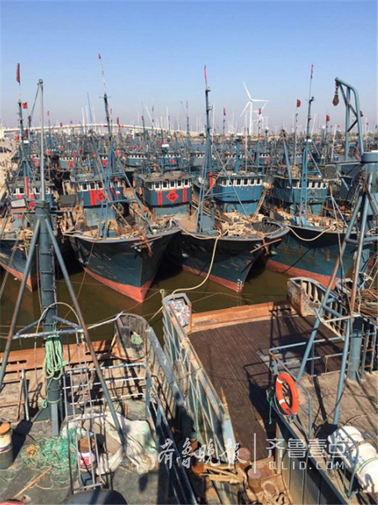 4月30日，寿光这家渔港，密密麻麻的渔船分布在河道两侧，休渔期临近，它们提前归港。齐鲁晚报·齐鲁壹点 记者孙效宝摄