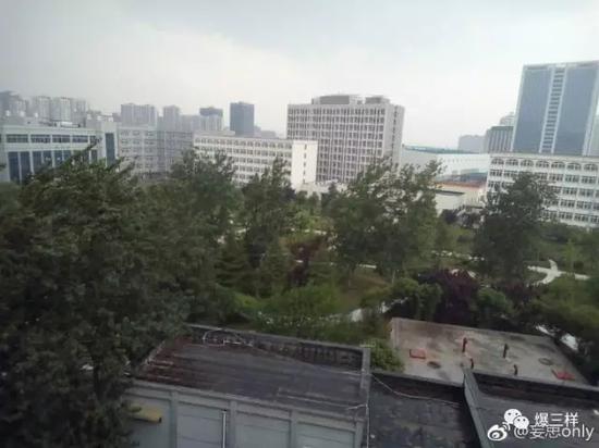 大树被风吹得东倒西歪