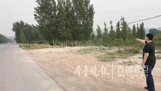 阜新街以南区域就是规划中的海子洼片区,目前地块上种了很多树。齐鲁晚报·齐鲁壹点 记者张帅摄