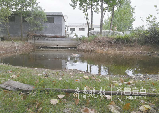 水塘邊楊曼曼救人時用的木锨仍在。