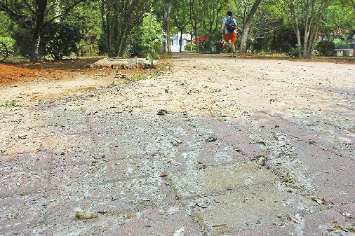 15日，化粪池周边已不见污水，但地面上到处是晒干后的污物。记者王菲 摄