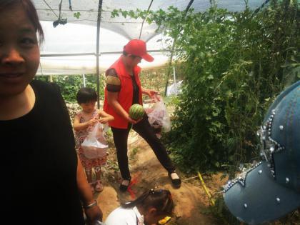 浩荡的人向果园出发啦,摘果子啦