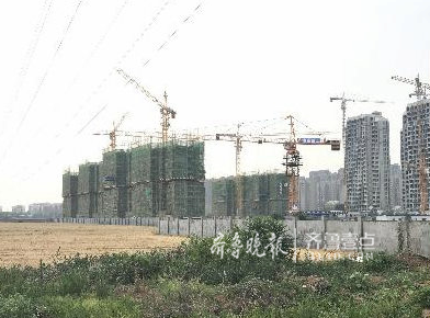 规划建变电站的地方还是一片空地。齐鲁晚报·齐鲁壹点 记者 王杰 摄