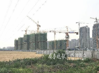 规划建变电站的地方还是一片空地。齐鲁晚报·齐鲁壹点 记者　王杰　摄