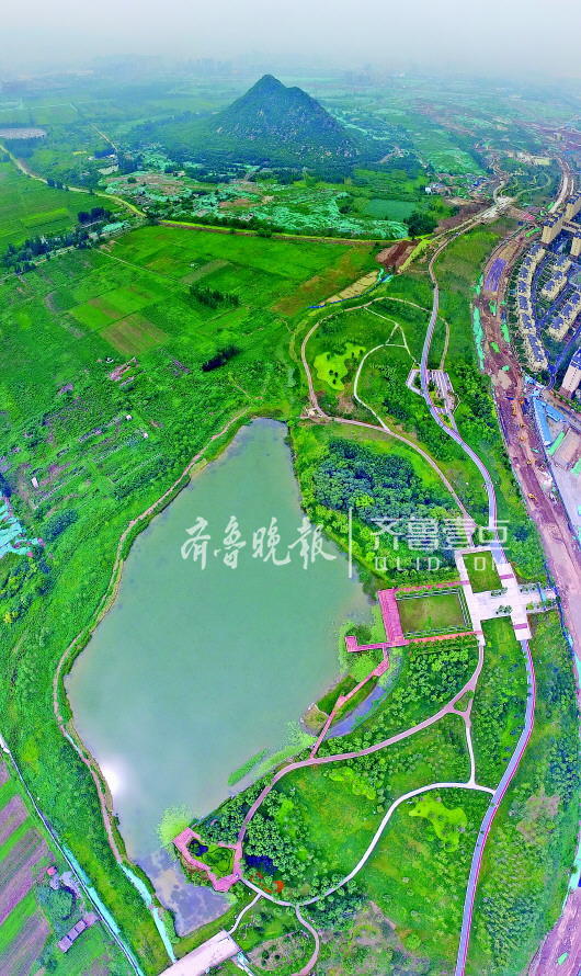 華山濕地公園已經建成60萬平米景觀帶,航拍鏡頭美輪美奐。齊魯晚報·齊魯壹點記者 周青先 攝