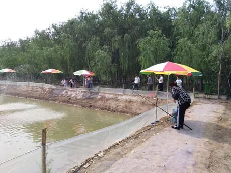 游客在高青县联丰清水龙虾产业园钓龙虾