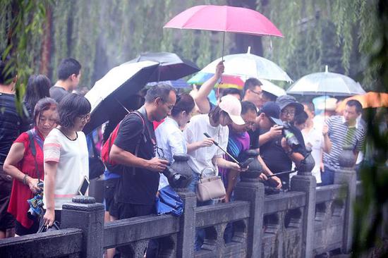 微博达人齐聚“Hello济南”泉水拍客节 感受泉水文化魅力