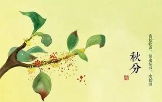 秋分到！吃對食物巧潤燥
