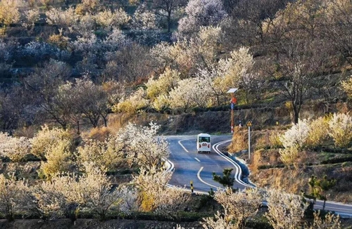 ▲北山幸福公路(摄影:王玉荣)